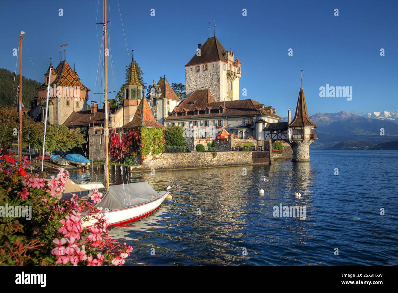 Schloss Oberhofen sul lago di Thun (Thunersee) nel Cantone di Berna in Svizzera. Foto Stock