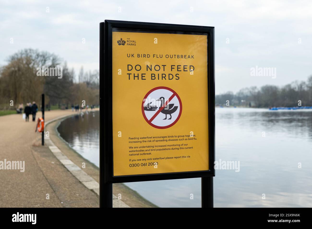 Influenza aviaria 2025 uk - non dare da mangiare al segno uccelli - Hyde Park, Londra, Inghilterra, Regno Unito Foto Stock Influenza aviaria 2025 uk - non dare da mangiare al segno uccelli - Hyde Park, Londra, Inghilterra, Regno Unito Foto Stock