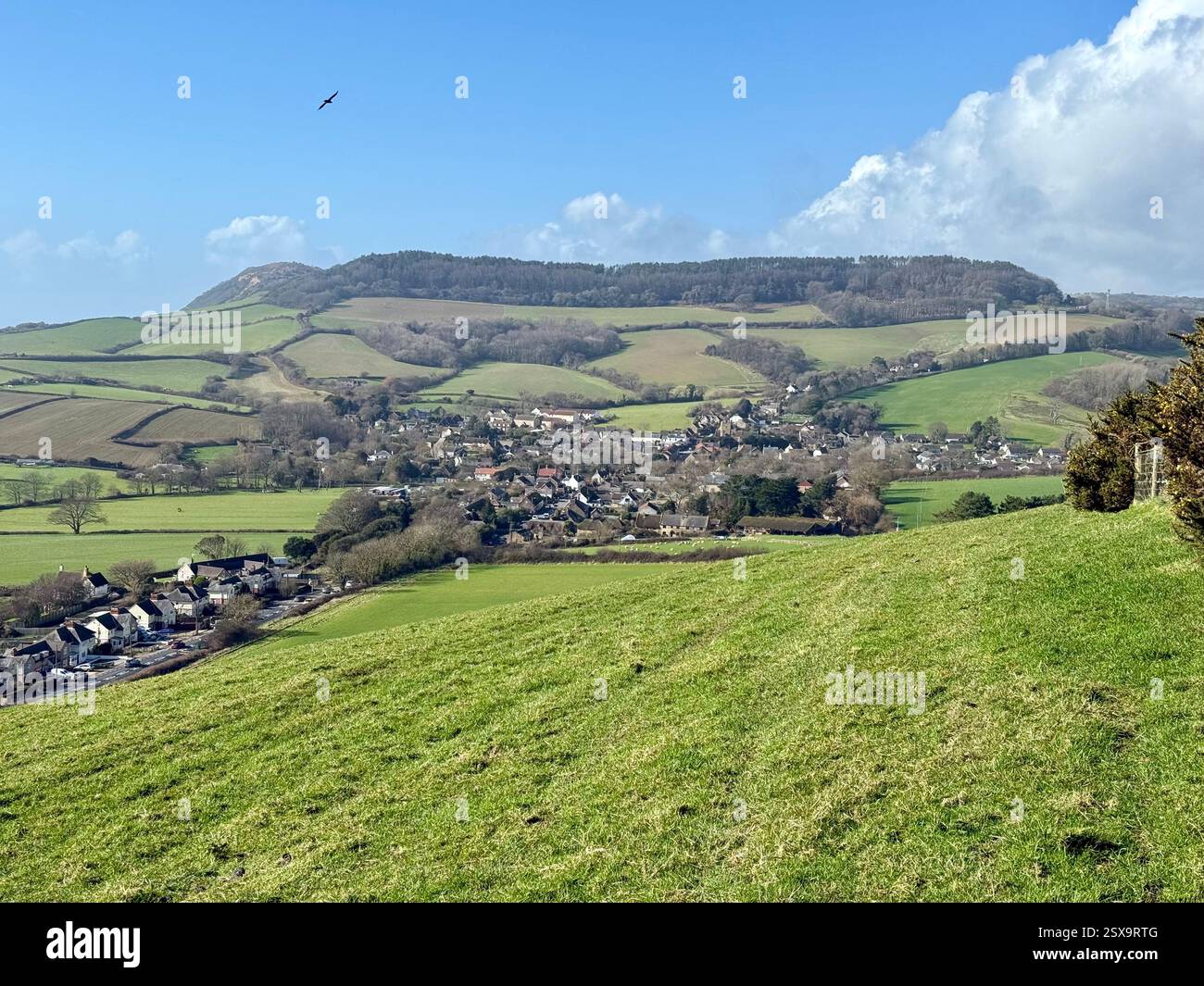 Chideock, Dorset da Quarry Hill: Camminare per le Lanes sommerse del Dorset Foto Stock