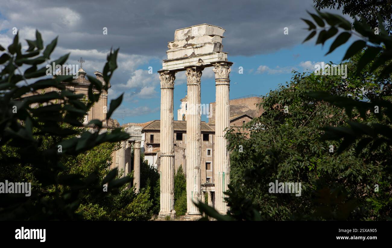 Tre colonne sopravvissute del Tempio di Castore e Polluce nell'antico foro Romano, viste attraverso gli alberi. Foto Stock