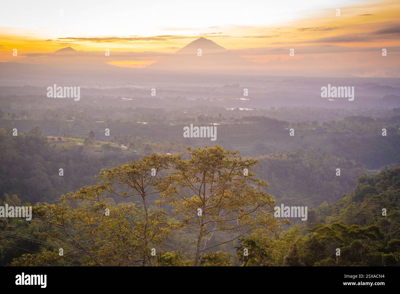 Vista del Monte Batur e del Monte Agung vicino al Lago Beratan all'alba, Bali, Indonesia, Asia sudorientale, Asia Foto Stock