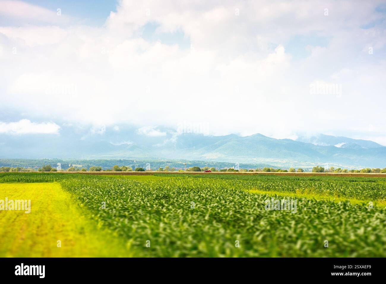 paesaggio con campo rurale. campagna montuosa della romania in estate. cielo nuvoloso. la vista era bellissima Foto Stock