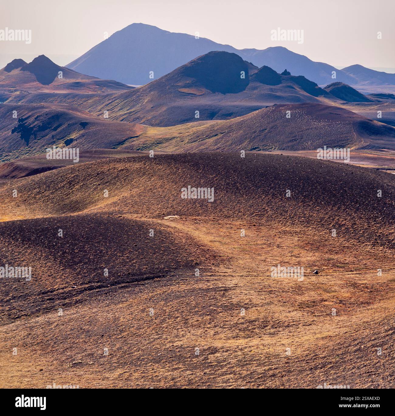 Area vulcanica a Krafla, Islanda Foto Stock