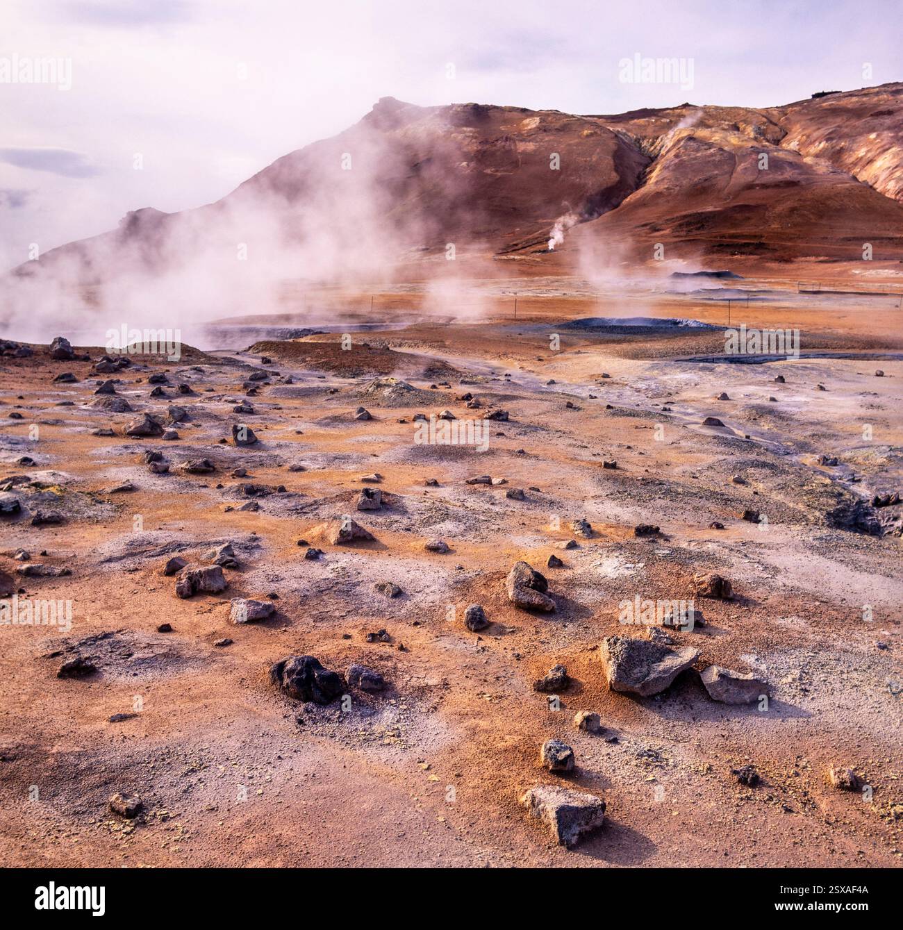 Area vulcanica, Islanda Foto Stock