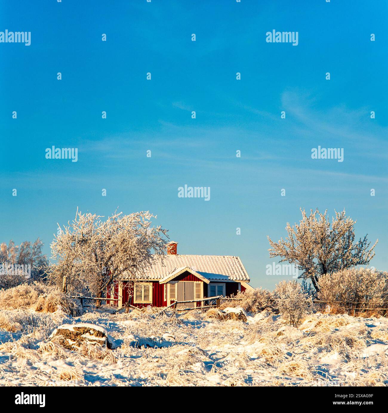 Cottage nel paesaggio invernale, Svezia Foto Stock