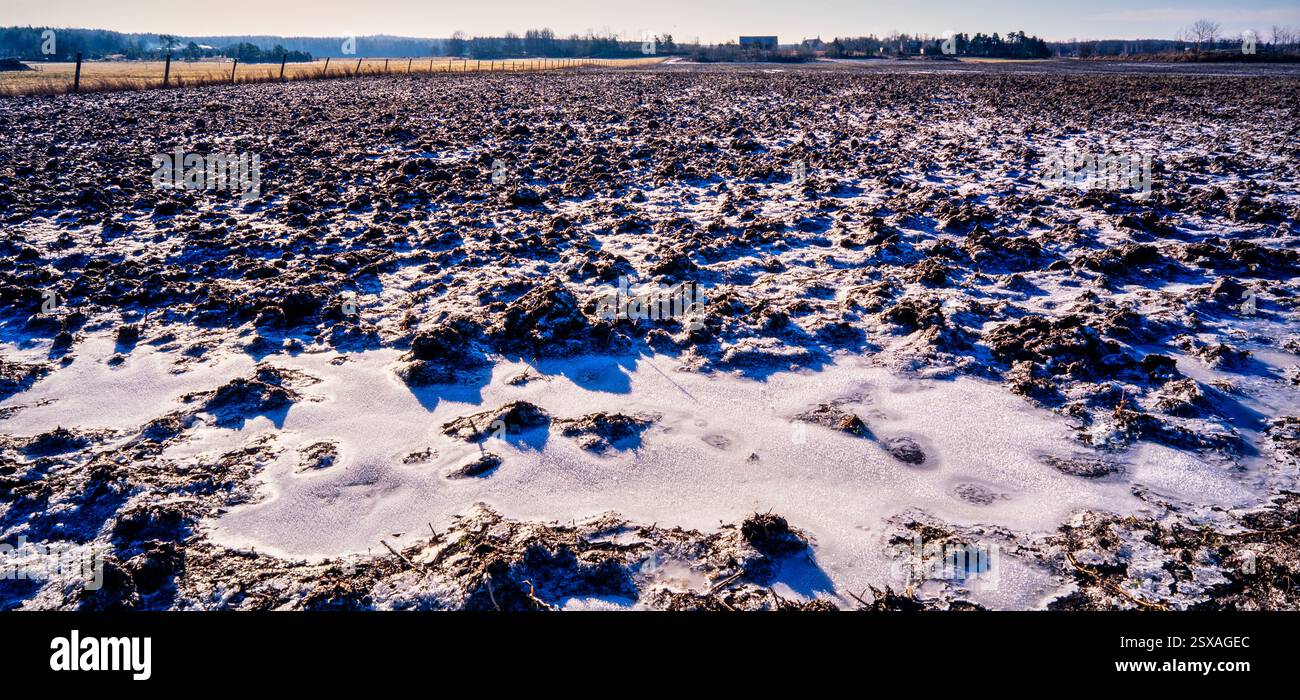 Campo gelido Foto Stock
