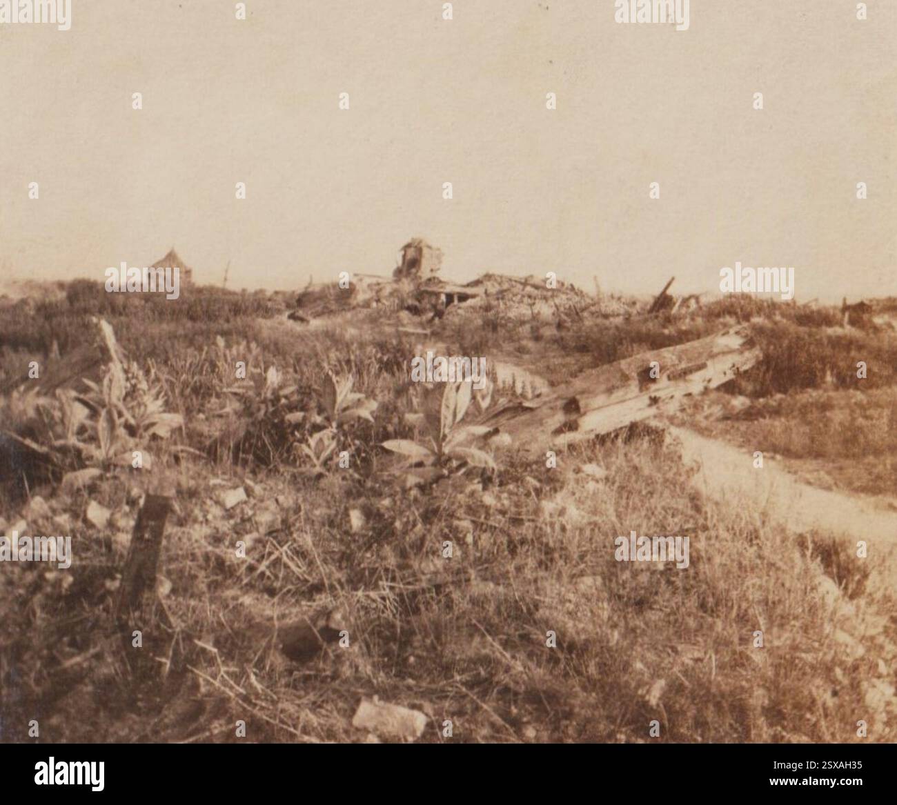 Dopo la battaglia di Messines, 1917 Foto Stock