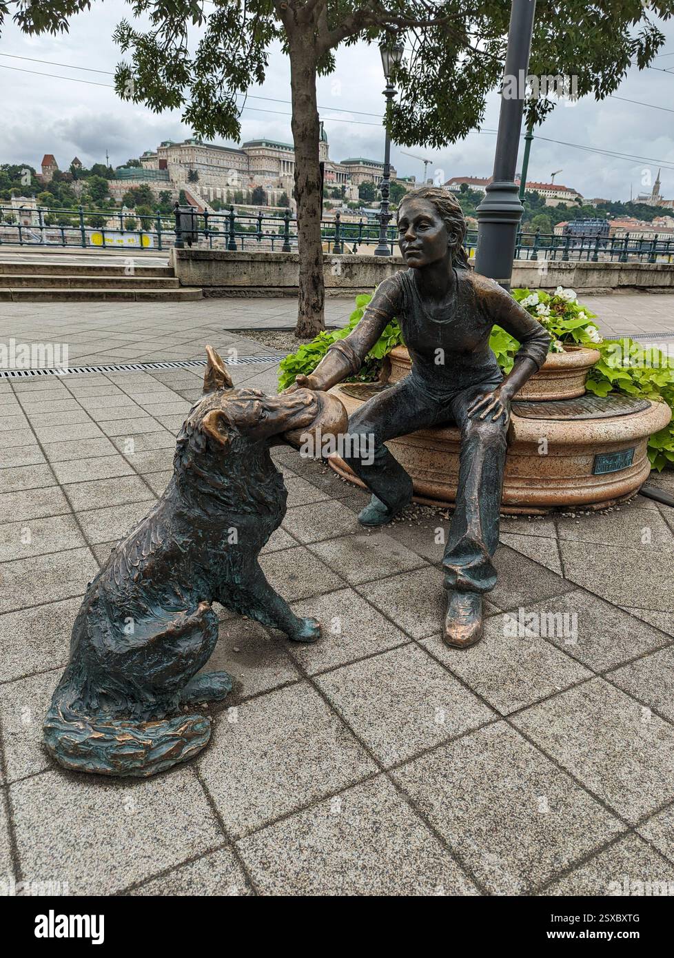 Ragazza con la sua statua del cane a Budapest, una scultura emozionante lungo la passeggiata sul Danubio, con uno splendido sfondo del castello di Buda. Foto Stock