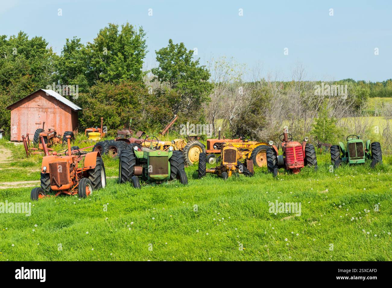 Le file dei vecchi trattori sono parcheggiate in un campo. I trattori sono di diversi colori e dimensioni Foto Stock