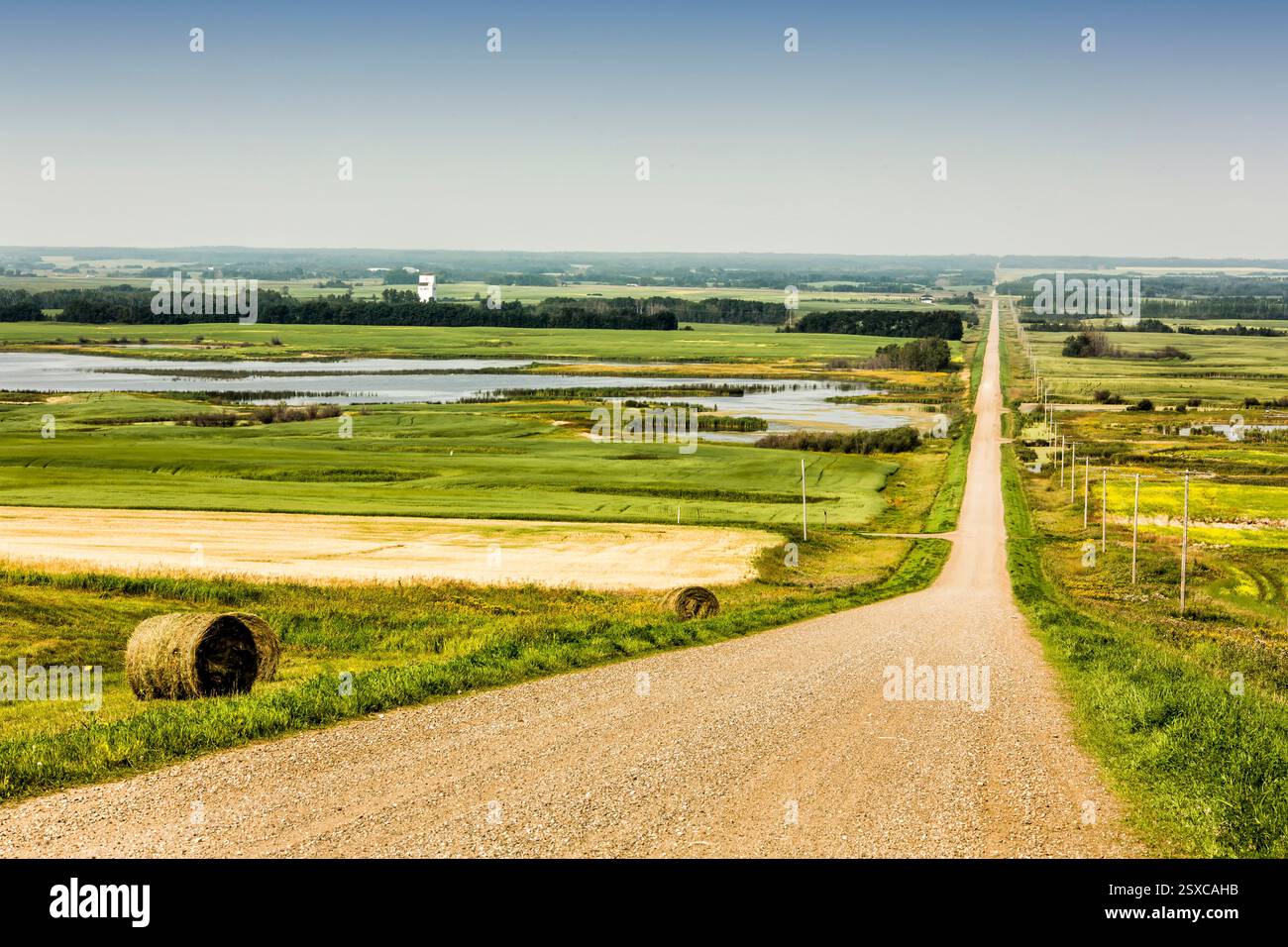 Strada sterrata con un campo erboso sullo sfondo. C'è una piccola collina in lontananza Foto Stock