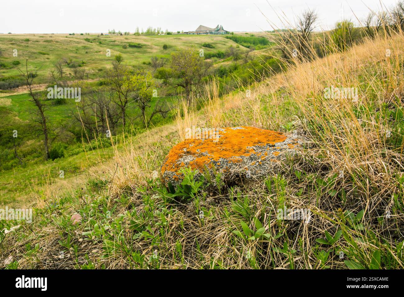 Rock è seduto su una collina in un campo. La roccia è arancione e ha una tinta verdastra Foto Stock