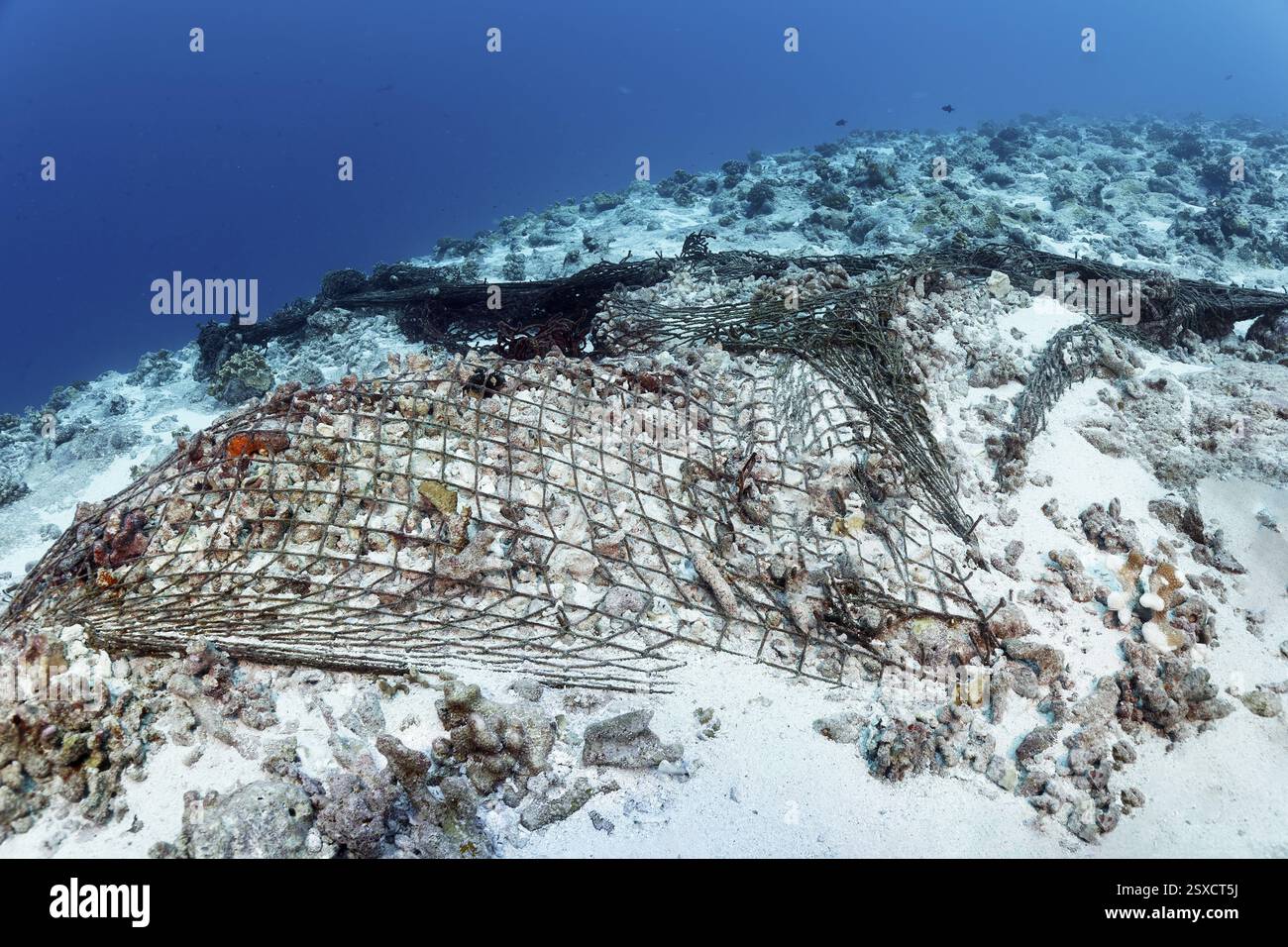 Reti da pesca orfane, orfane, distrutte, barriera corallina, arcipelago delle Tuamotu, Polinesia francese, Pacifico meridionale, Oceano Pacifico, Oceania Foto Stock