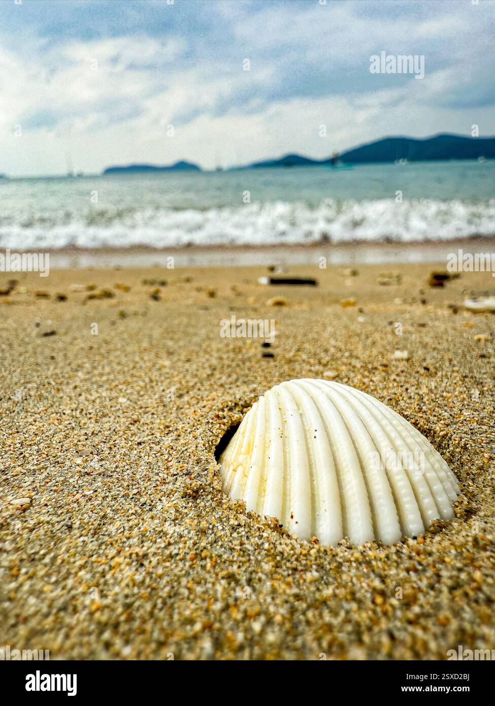 Macro Shell su sabbia calda con onde e barche sullo sfondo Un macro shot di una conchiglia appoggiata su sabbia morbida e calda. Lo sfondo sfocato è più alto - Immagine stock catturata con smartphone