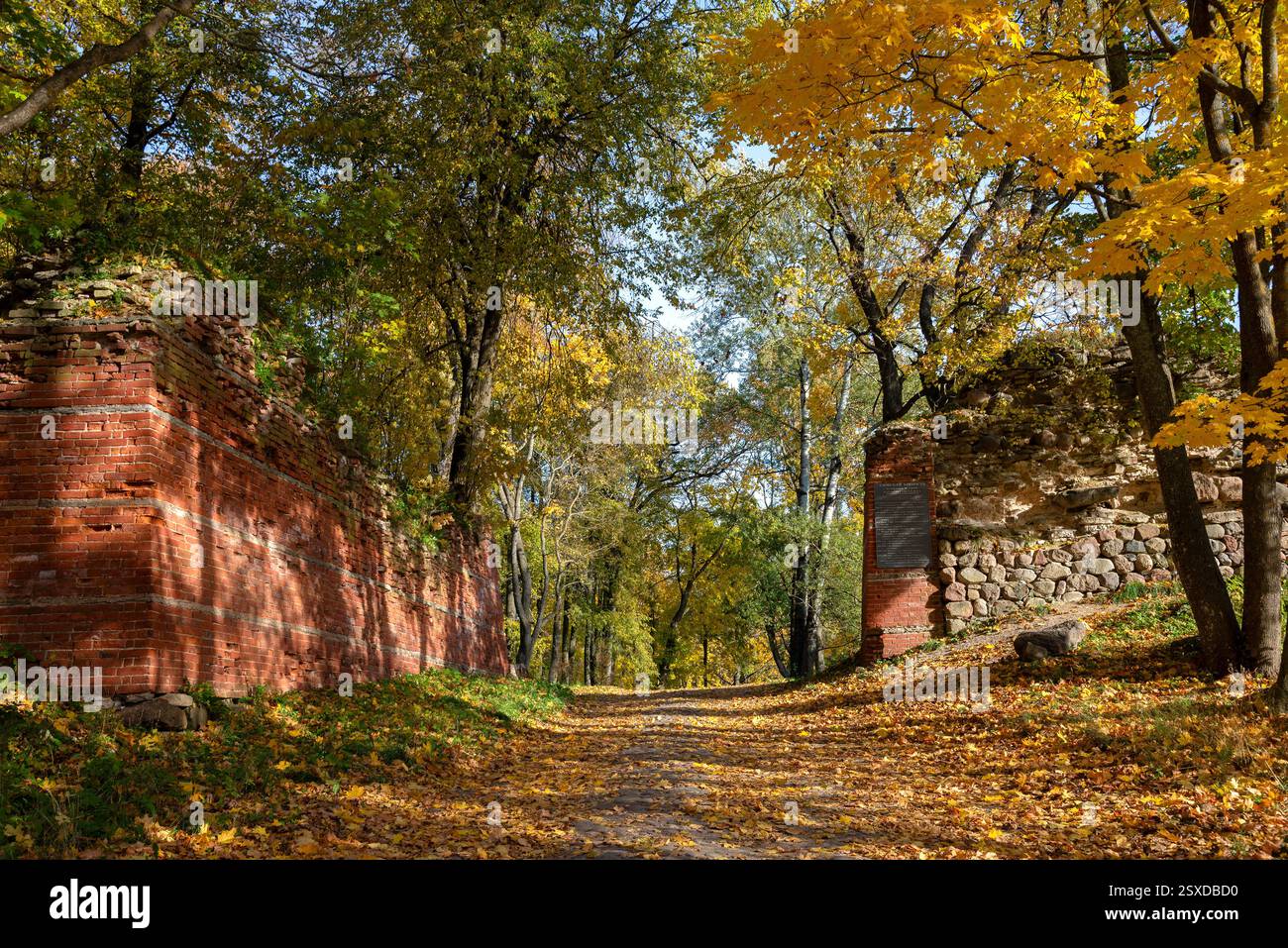 Autunno d'oro alle mura della vecchia fortezza. Gdov, regione di Pskov Foto Stock