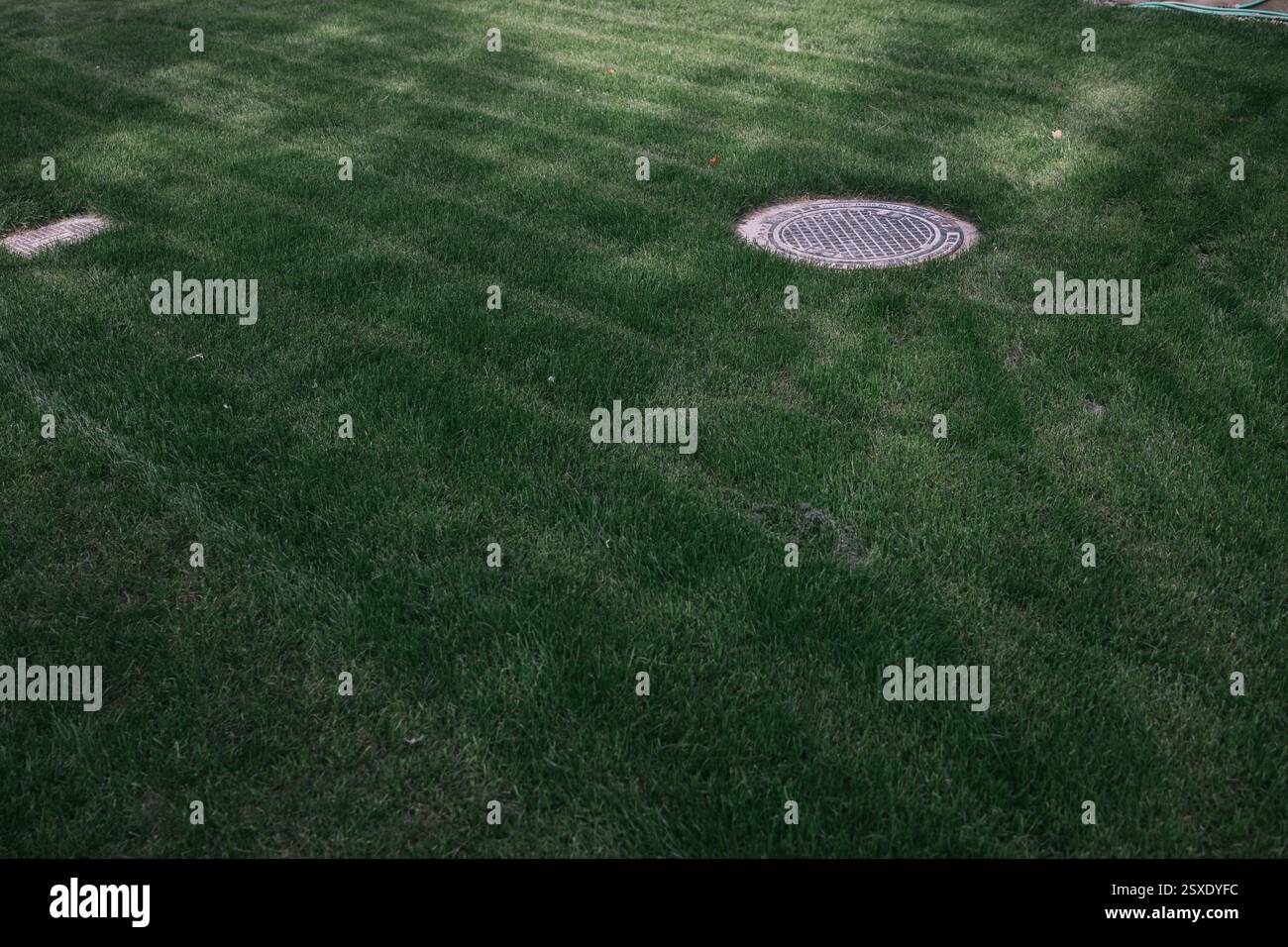 Erba tagliata e un tombino Foto Stock