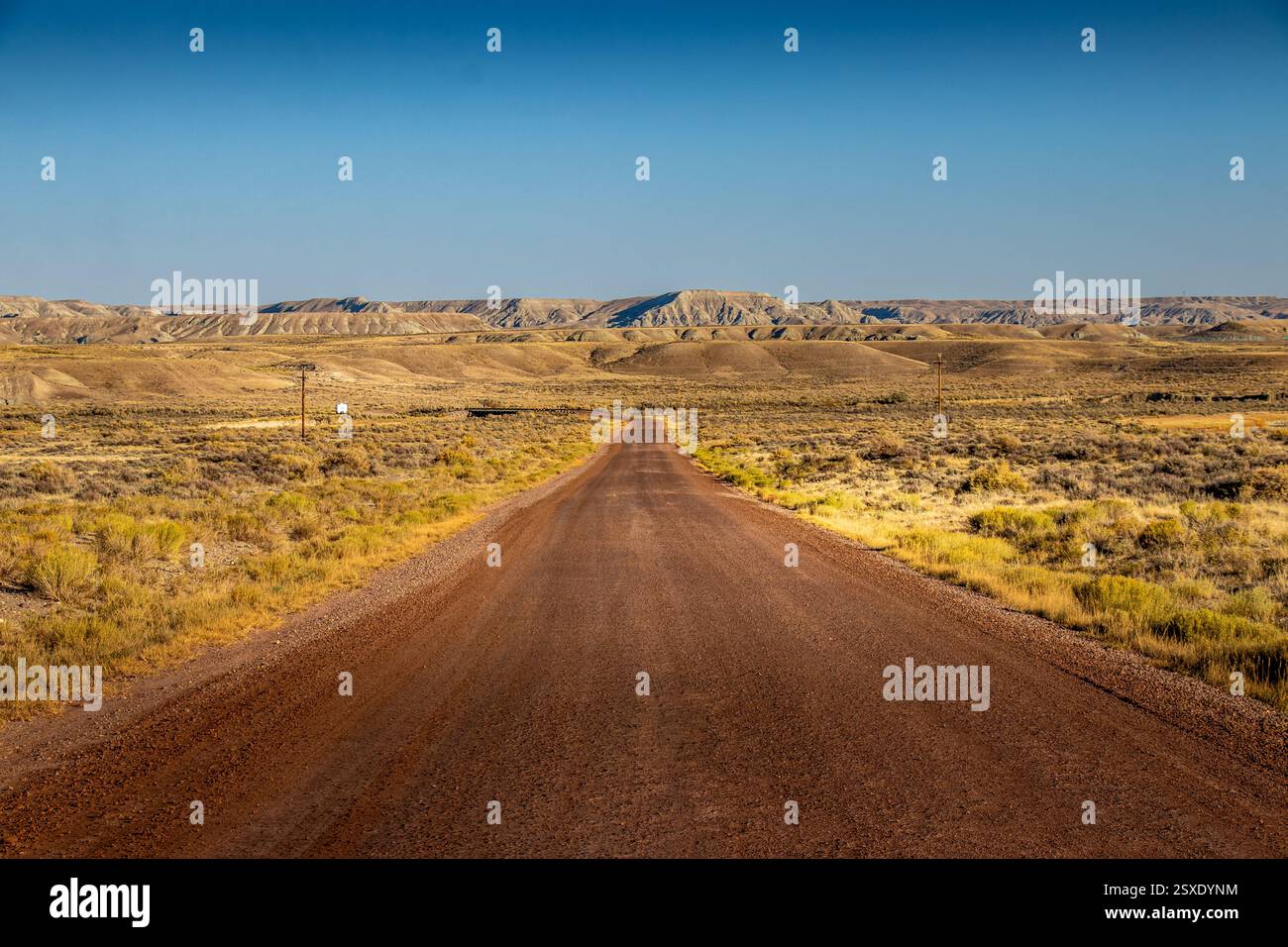 Desert Road che conduce a Painted Hills Foto Stock