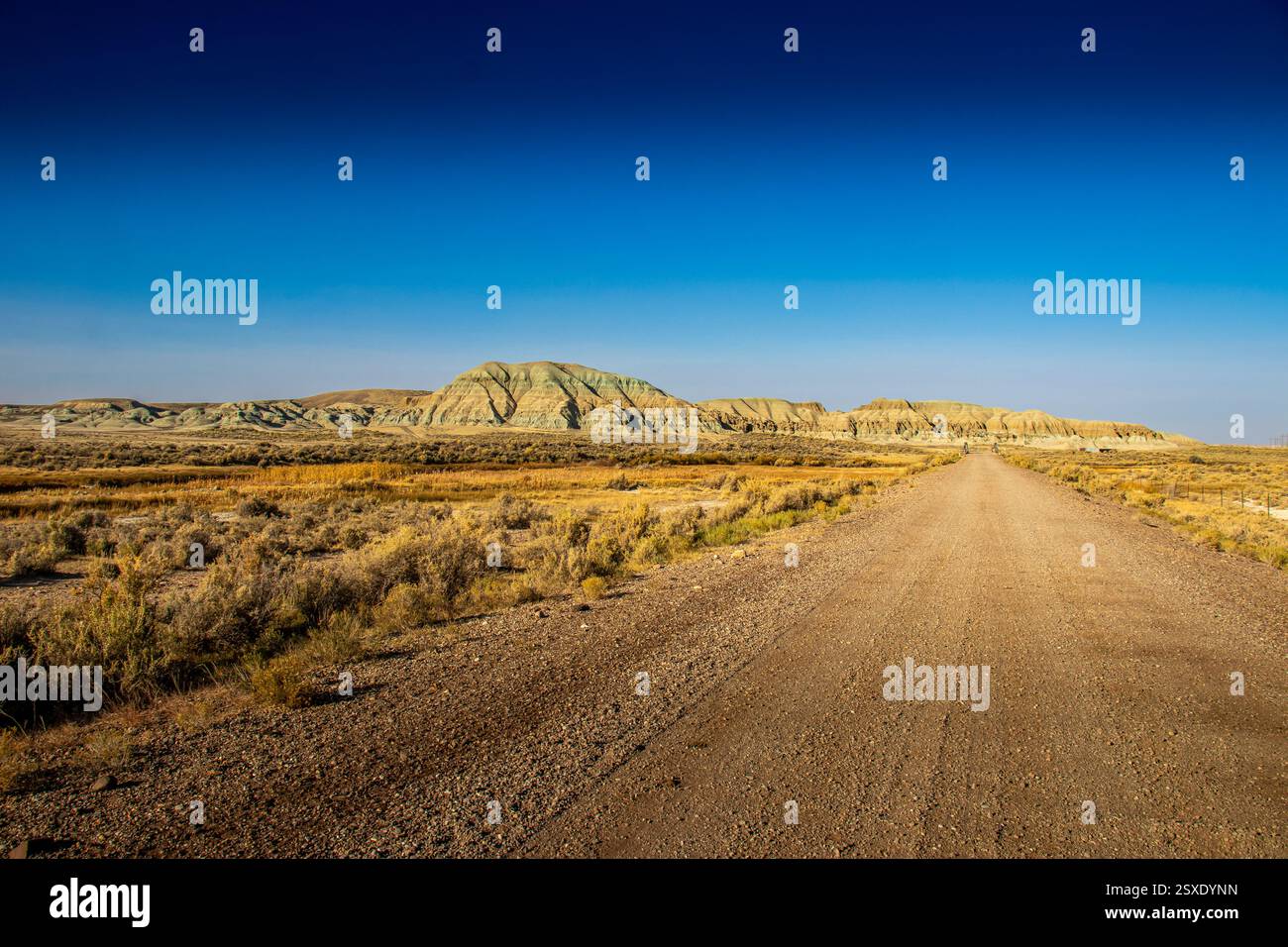 Remote Dirt Road nelle Wyoming Badlands Foto Stock