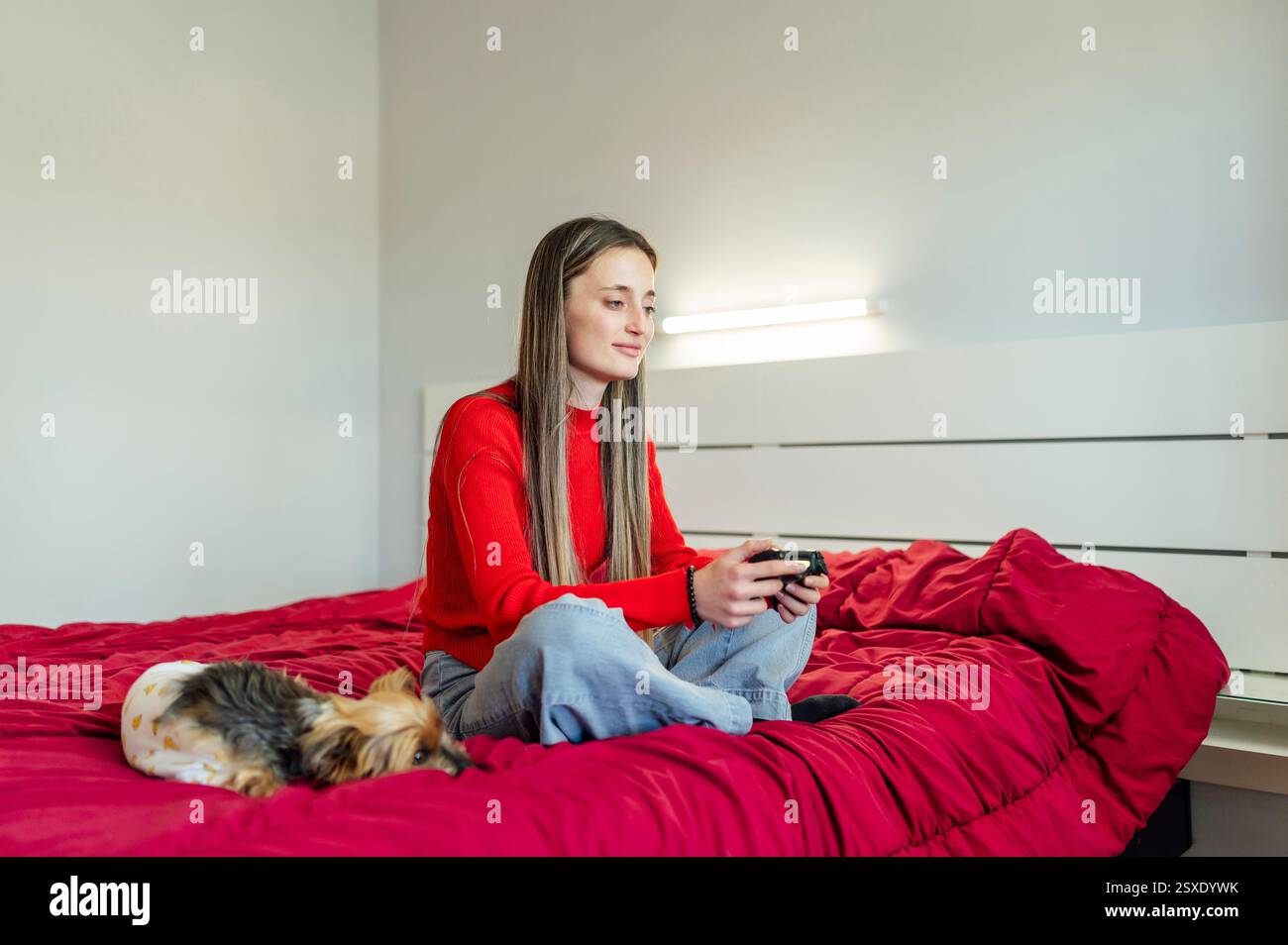 Giovane donna che gioca ai videogiochi e accarezza il suo cane Yorkshire Terrier Foto Stock