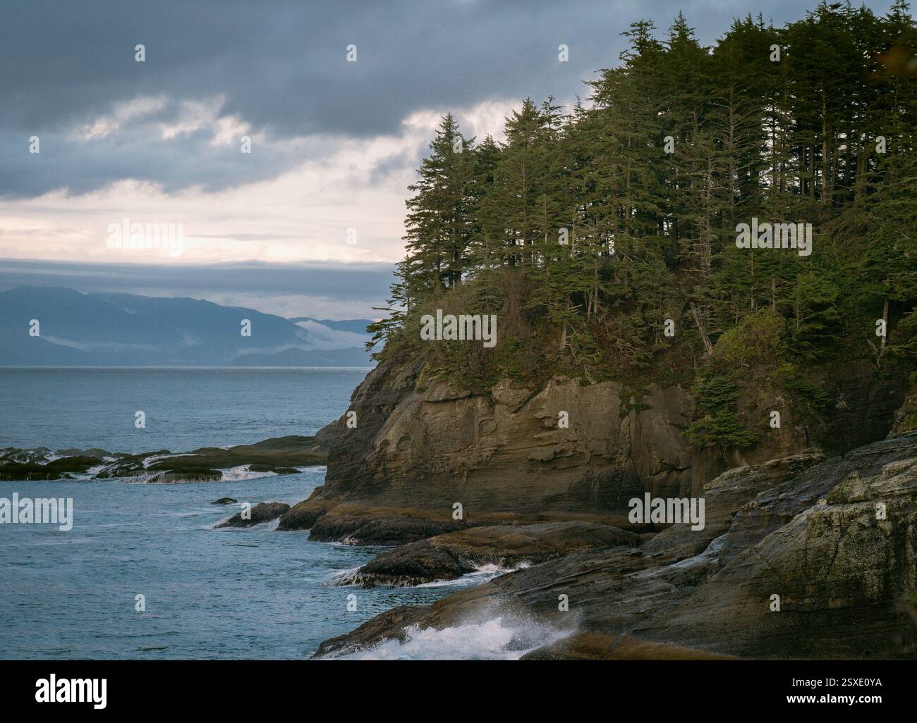 Vista a nord delle scogliere battute a onde sul Cape Flattery Trail al tramonto Foto Stock