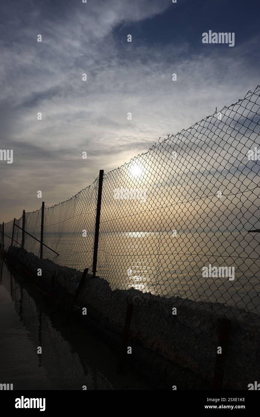 Umm Bab Beach - Palm Tree Beach Doha Qatar 24-02-2025 Foto Stock