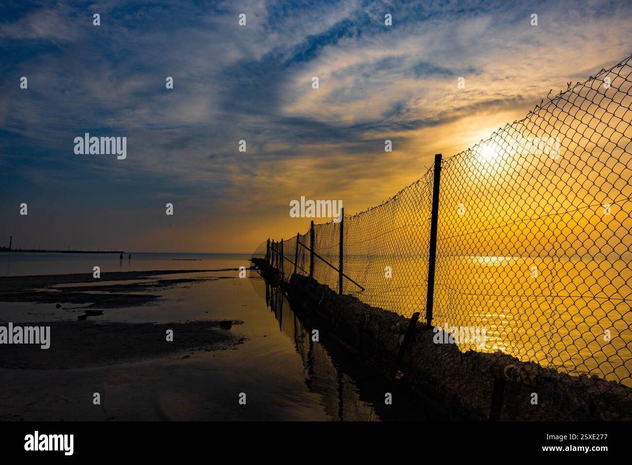 Umm Bab Beach - Palm Tree Beach Doha Qatar 24-02-2025 Foto Stock