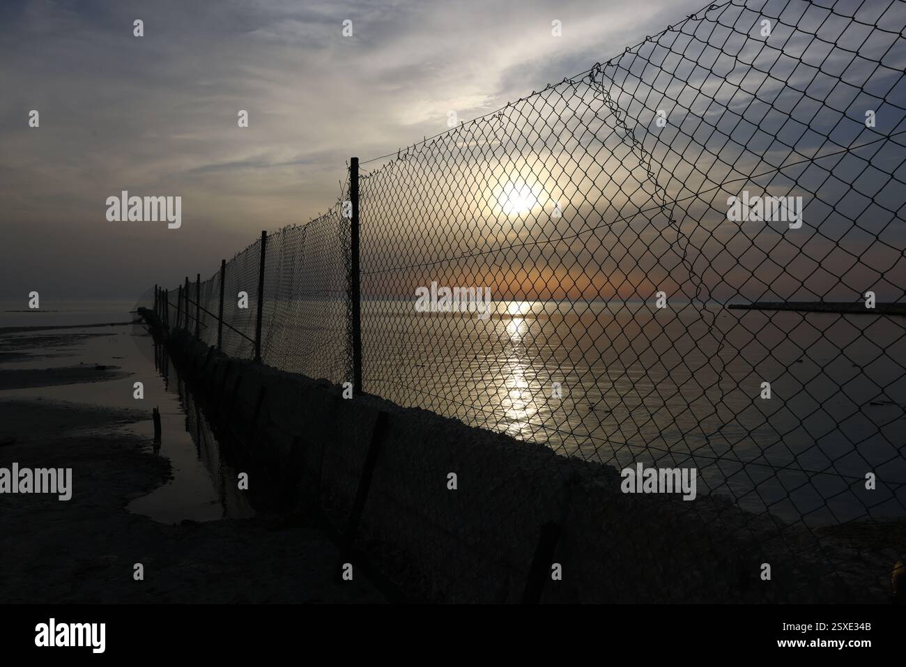 Umm Bab Beach - Palm Tree Beach Doha Qatar 24-02-2025 Foto Stock