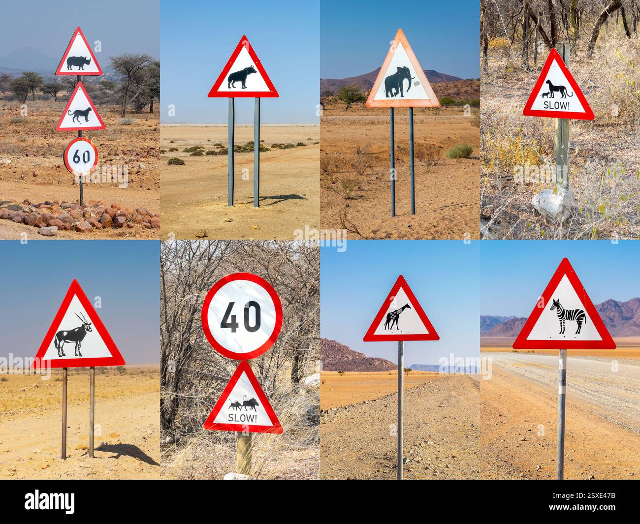 Collezione di cartelli stradali per la fauna selvatica, collage fotografico di cartelli stradali Fun anima in Namibia, Africa Foto Stock
