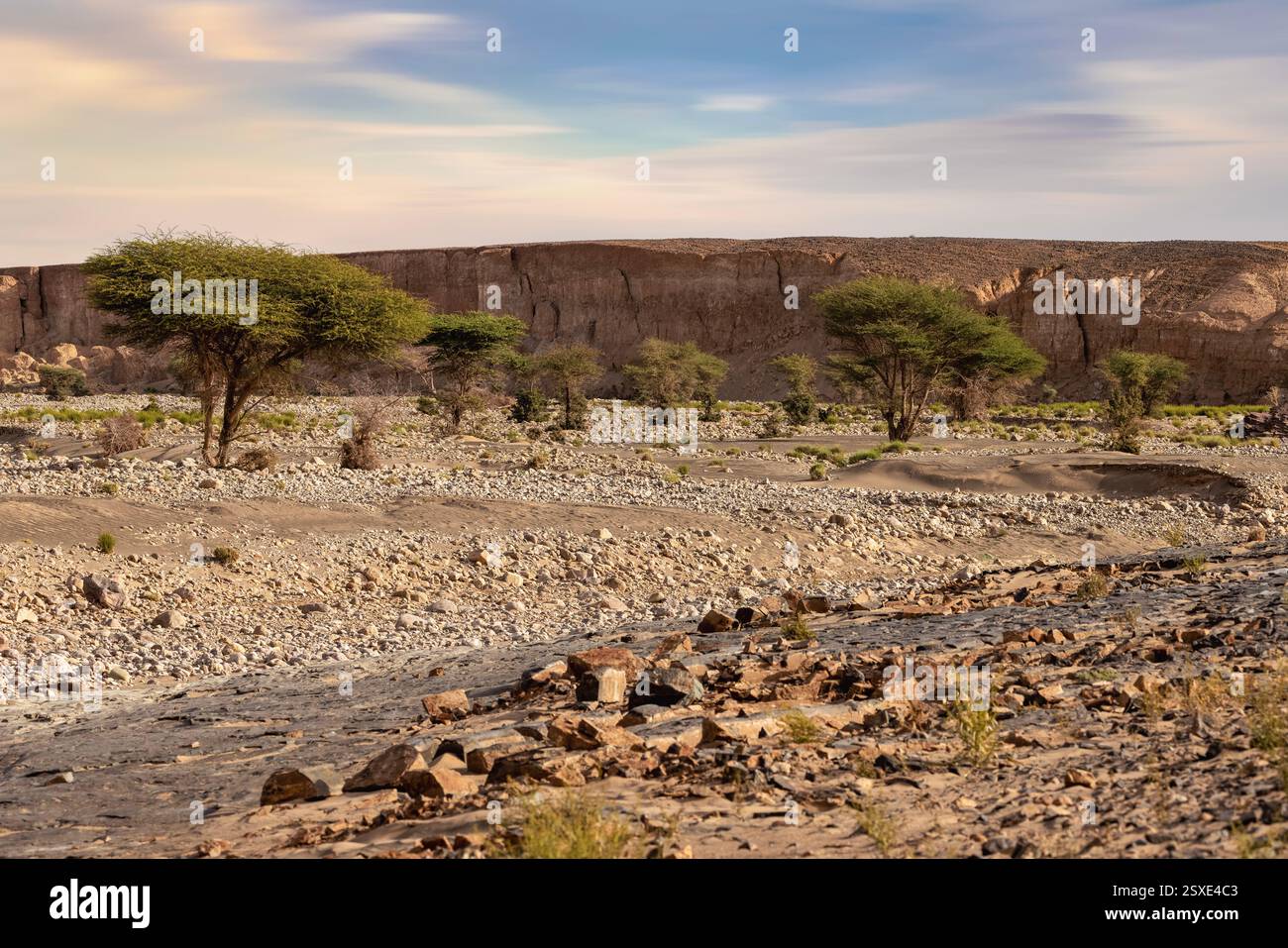 Vita nomade a Erg Chigaga, un vasto deserto di dune di sabbia in Marocco. Foto Stock