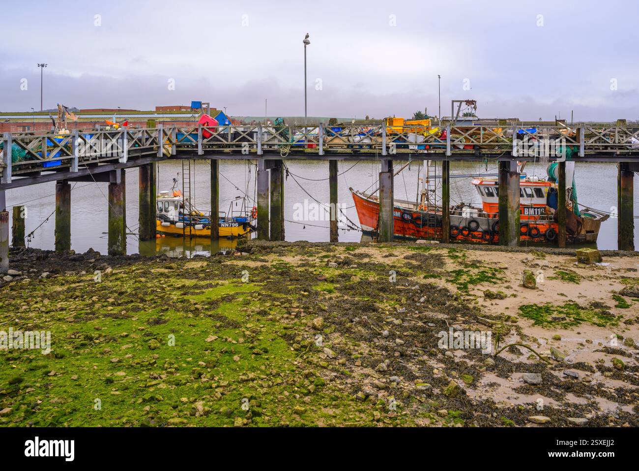 Barche da pesca nel porto di Newhaven, East Sussex Foto Stock