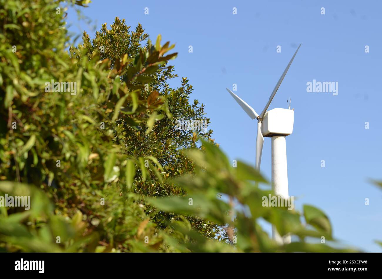 Un simbolo di sostenibilità è alto dietro la bellezza della natura. Abbracciare le energie rinnovabili per un futuro più verde. Foto Stock