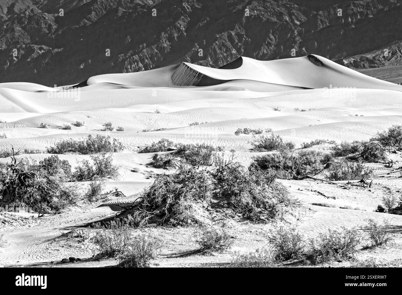 Paesaggio desertico con una montagna sullo sfondo. La sabbia è bianca e l'erba è sparsa Foto Stock