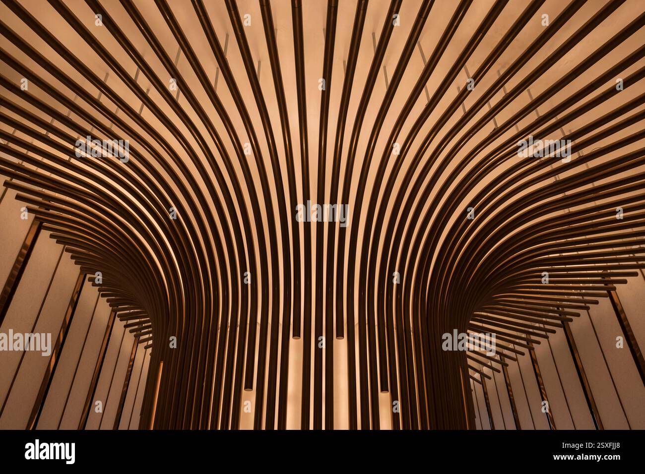 Morpheus Hotel, Zaha Hadid, Macao, Cina, Asia Foto Stock