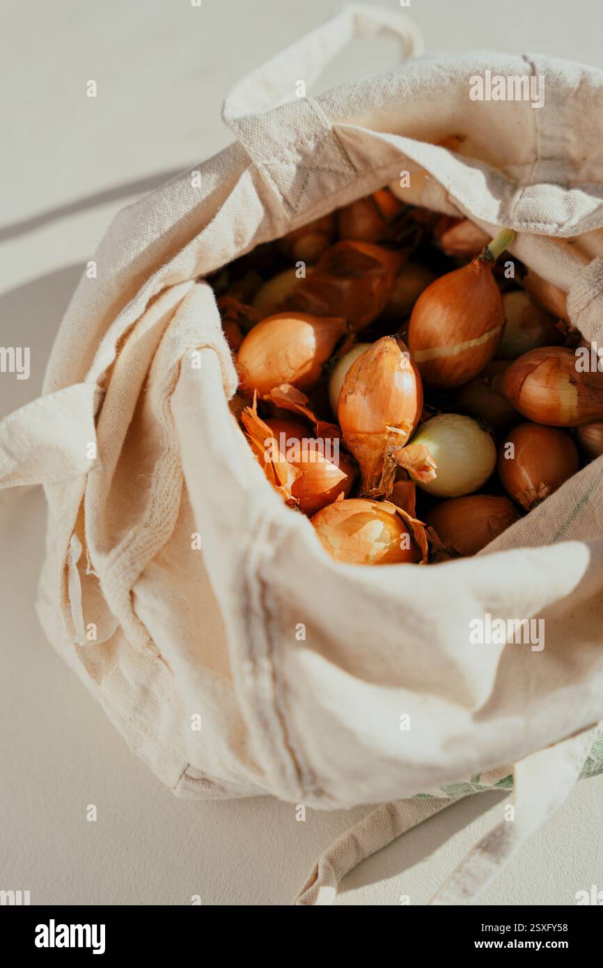 Set di cipolle in sacchetto di cotone, stile slow ed eco-living Foto Stock