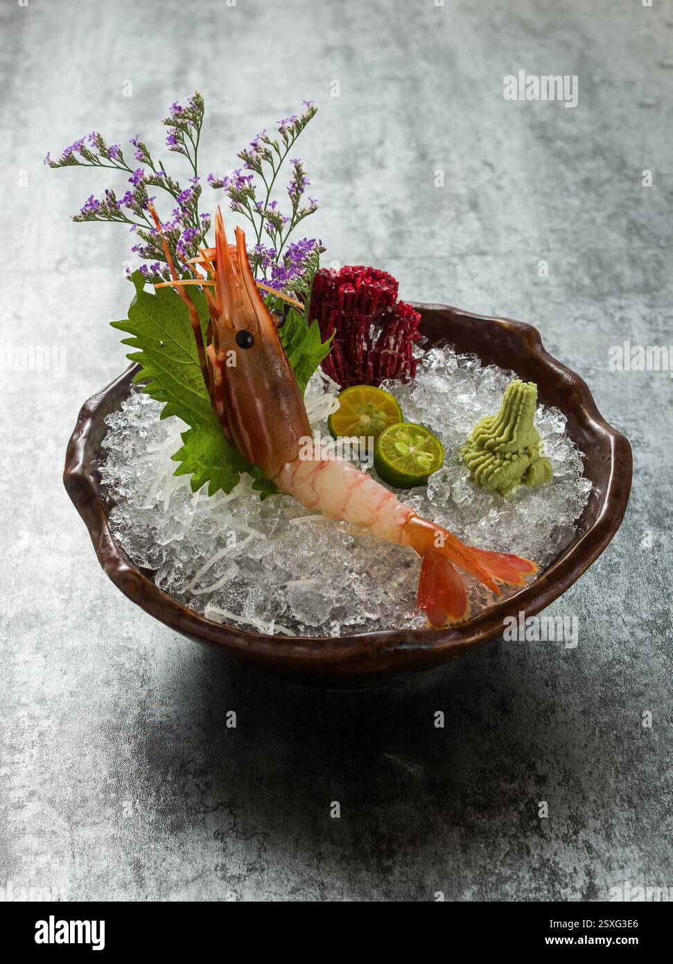 NUOVA ZELANDA SCAMPI CONFIT, GAMBERI DELLA BAIA DI DUBLINO O ARAGOSTA NORVEGESE O SCAMPI EPHROPS NORVEGICUS SU GHIACCIO, SCAMPI SASHIMI Foto Stock