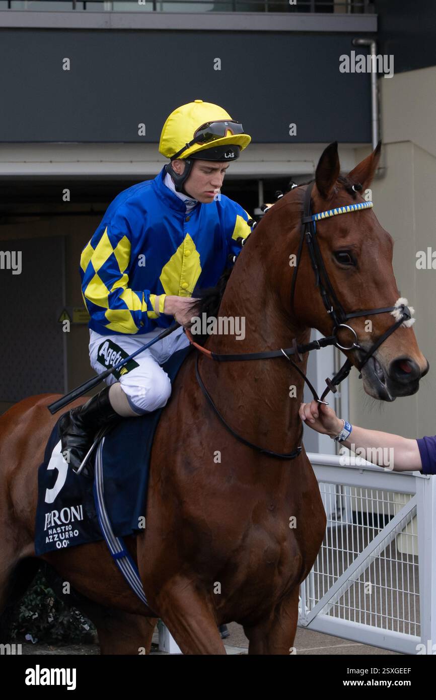 Ascot, Berkshire, Regno Unito. 11 maggio 2025. IL RAGAZZO DI Horse PALACE guidato dal fantino George Rooke si dirige verso l'ippodromo per le gare Peroni nastro Azzurro 0,0% handicap presso l'ippodromo di Ascot presso il Peroni nastro Azzurro 0,0% Victoria Cup Raceday. Crediti: Maureen McLean/Alamy Foto Stock