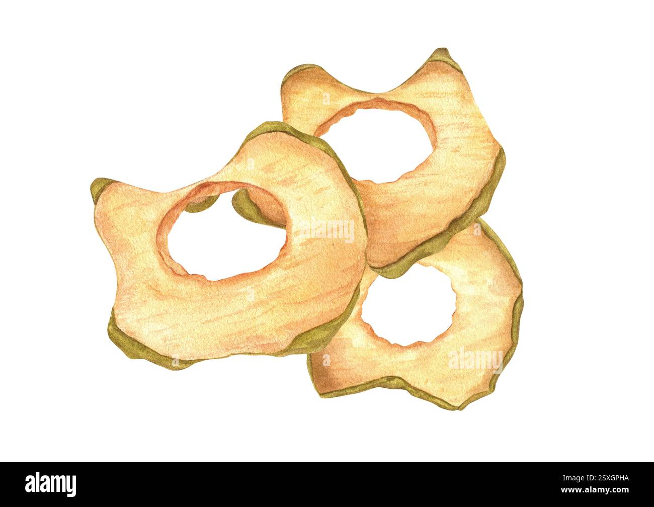 Fette di acquerello di trucioli di mele essiccate sfondo isolato. Sane vegane pila di spuntini. Ingredienti di frutta per panettiere Foto Stock