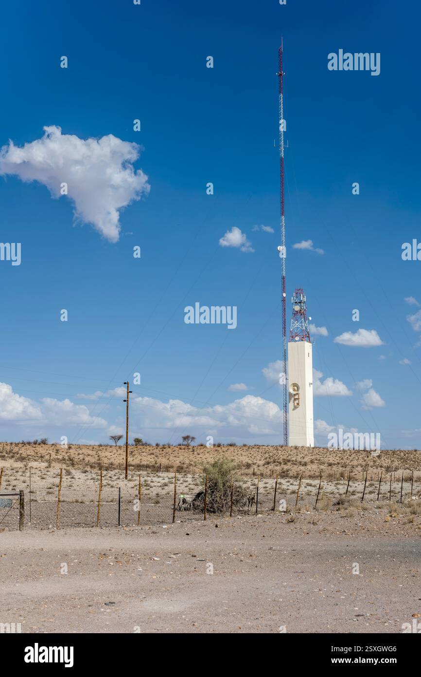 Torre di telecomunicazione e pecore nella verde campagna desertica, scattate alla luce della tarda primavera vicino a Kalkrand, Namibia, Africa Foto Stock