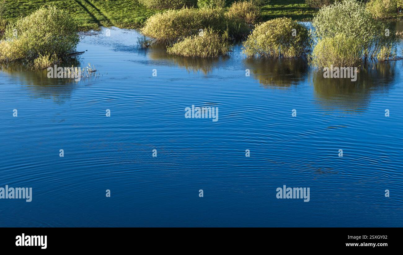 Un bellissimo paesaggio che mostra arbusti riflessi in acque blu calme sotto un cielo limpido. Foto di sfondo astratta naturale Foto Stock