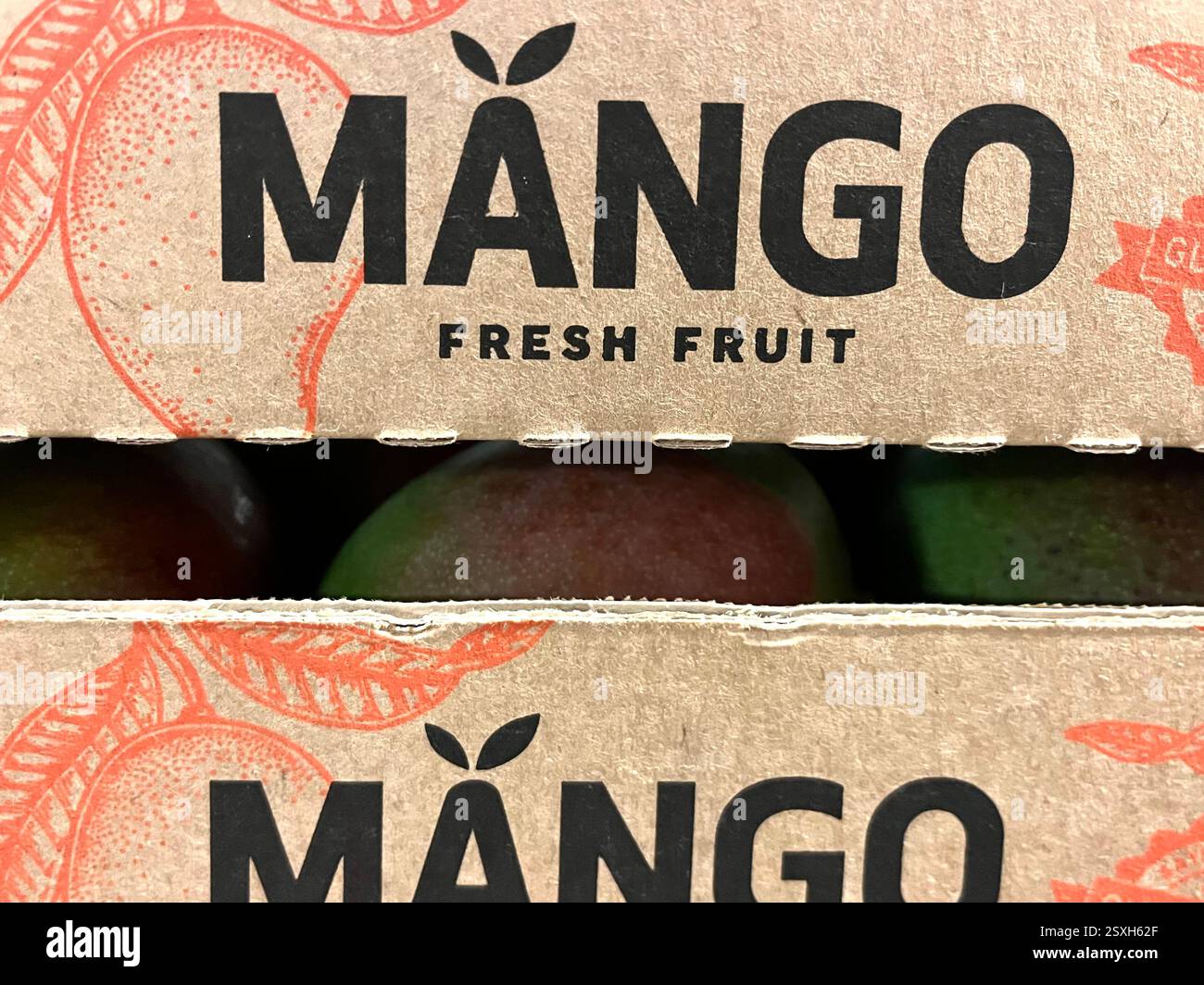 Scatola di cartone etichettata “Mango Fresh Fruit” utilizzata per il trasporto e la conservazione di manghi freschi Foto Stock