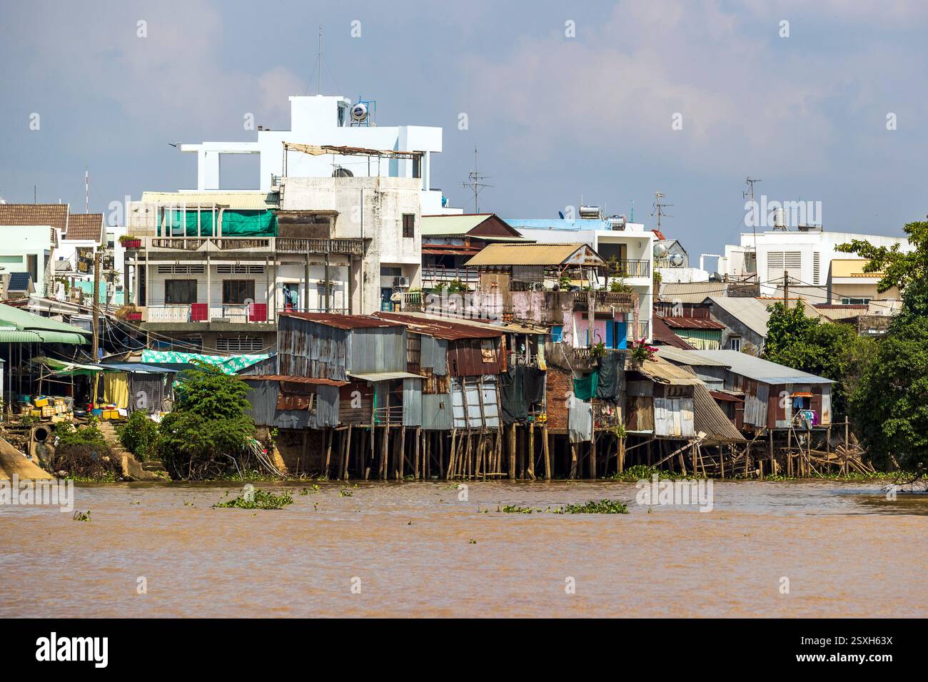 Case sul fiume Mekong vicino all'isola di Mango o Cu Lao Gieng, Vietnam, martedì 12 novembre 2024. Foto: David Rowland / One-Image.com Foto Stock