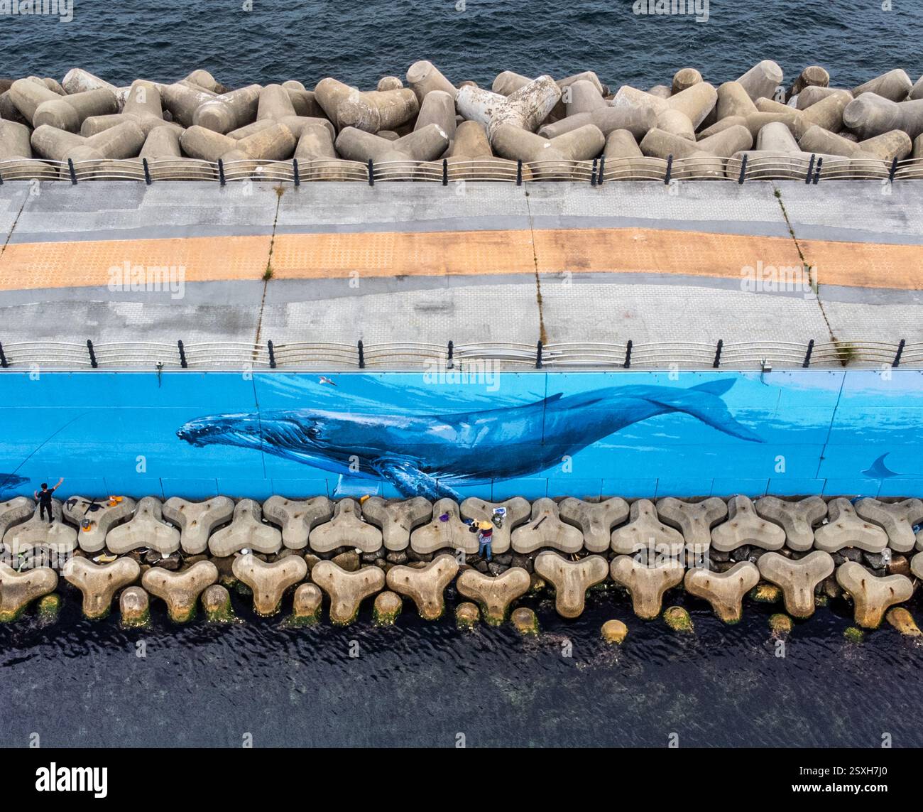 Fisherman su un molo rivestito di tetrapodi di fronte ad un dipinto di una balena, vicino a Sokcho, Goseong-gun, Gangwon-do, Corea del Sud Foto Stock