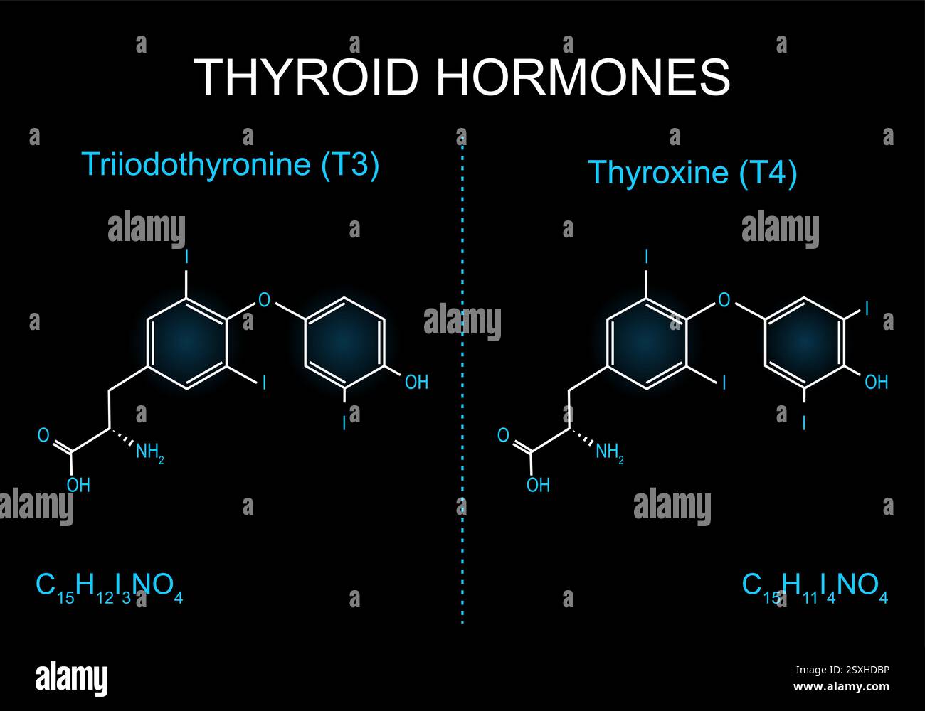 Molecola di triiodotironina T3. Formula scheletrica della tiroxina T4 su sfondo scuro. Formula strutturale chimica molecolare e modello di ormoni tiroidei Illustrazione Vettoriale