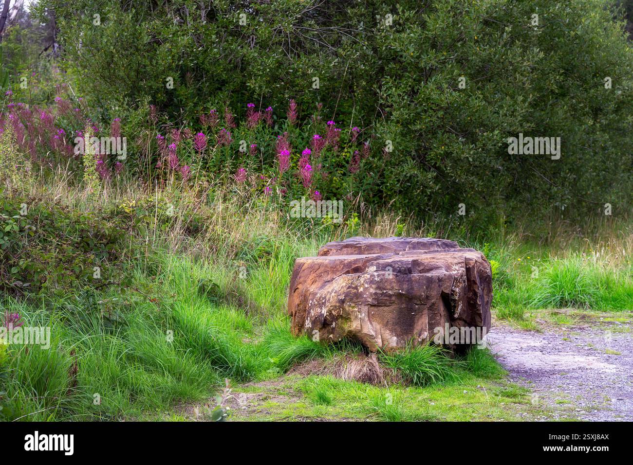 Grande pietra sul lato di un sentiero in estate Foto Stock