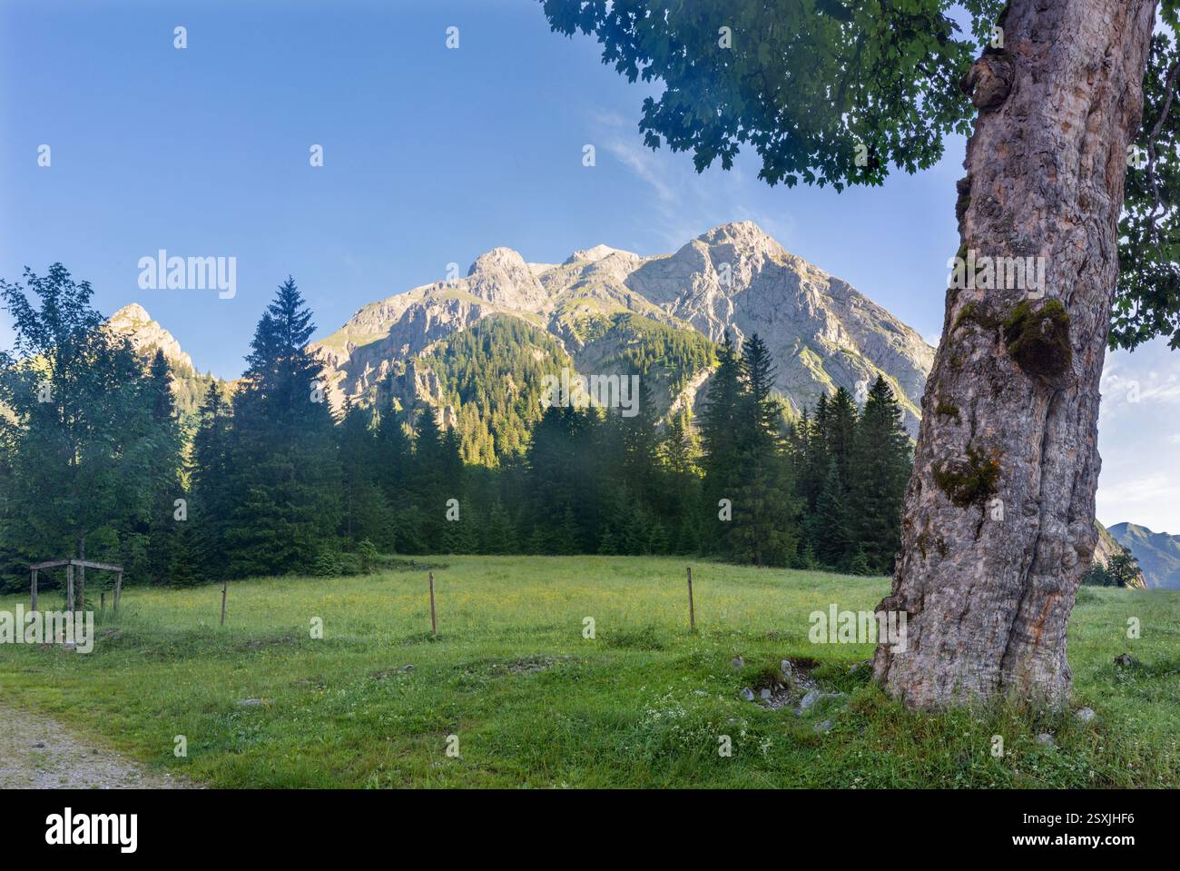 Le cime dei monti Karwendel alla luce del mattino - alta Enger con la vetta Gamsjoch - Grosser Ahornboden walley. Foto Stock