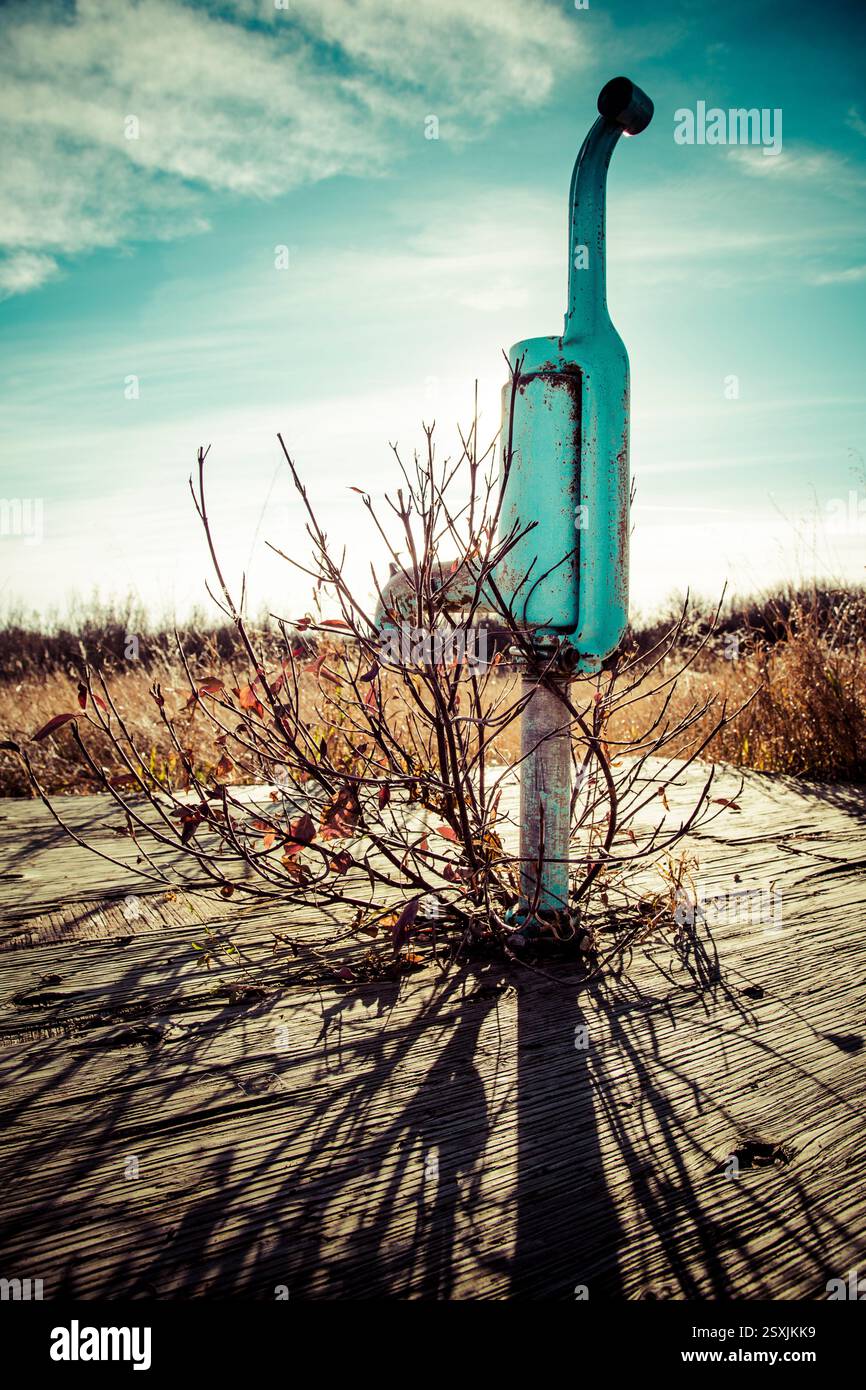 La fontana blu si trova a terra. La fontana è circondata da erba secca ed erbacce Foto Stock
