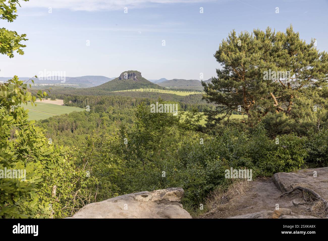 Vista dal Kleiner Baerenstein al Lilienstein, alla Svizzera sassone, alla Sassonia, alla Germania, all'Europa Foto Stock