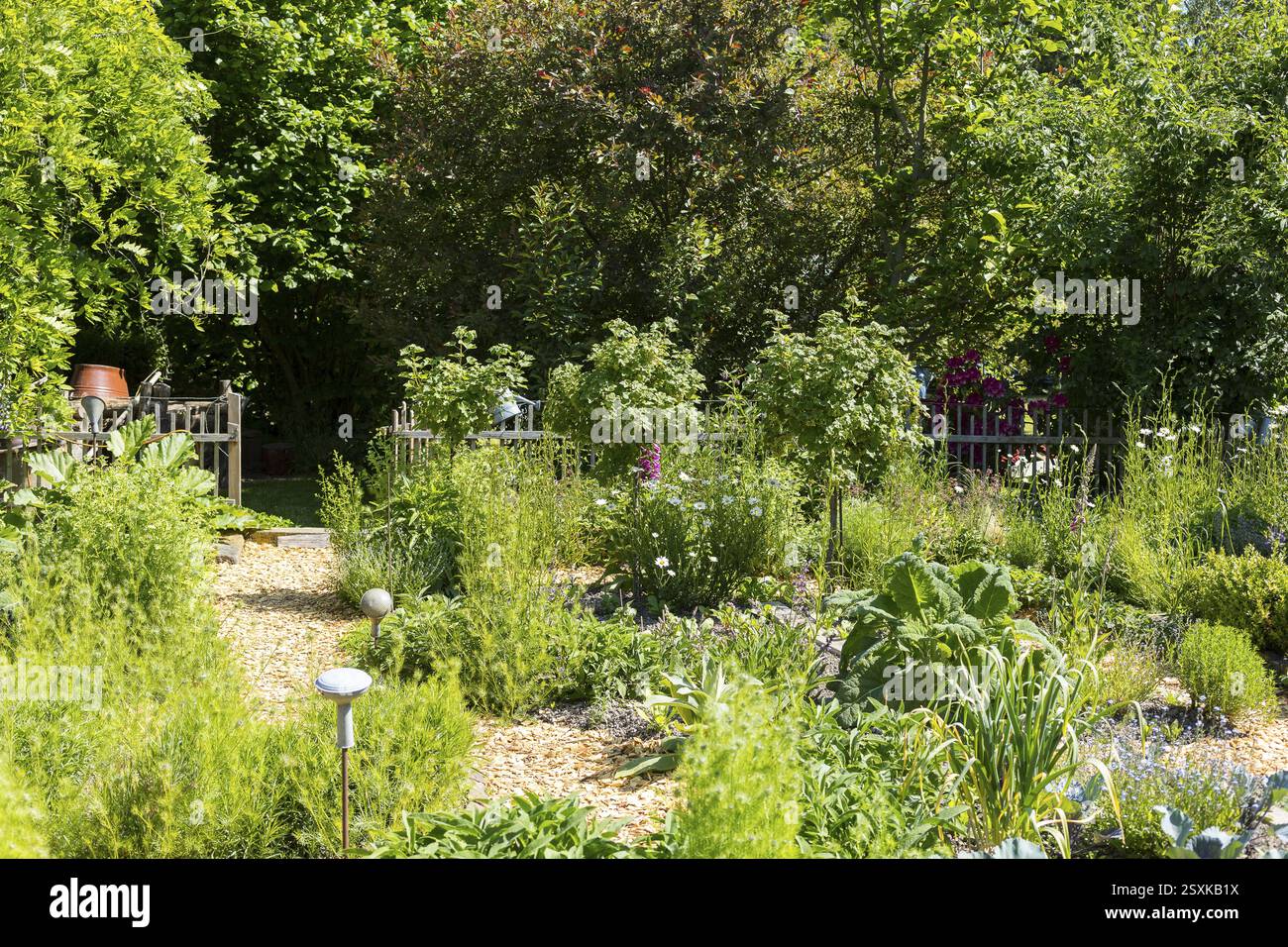 Orto agricolo con verdure, erbe, frutta e fiori, Germania, Europa Foto Stock