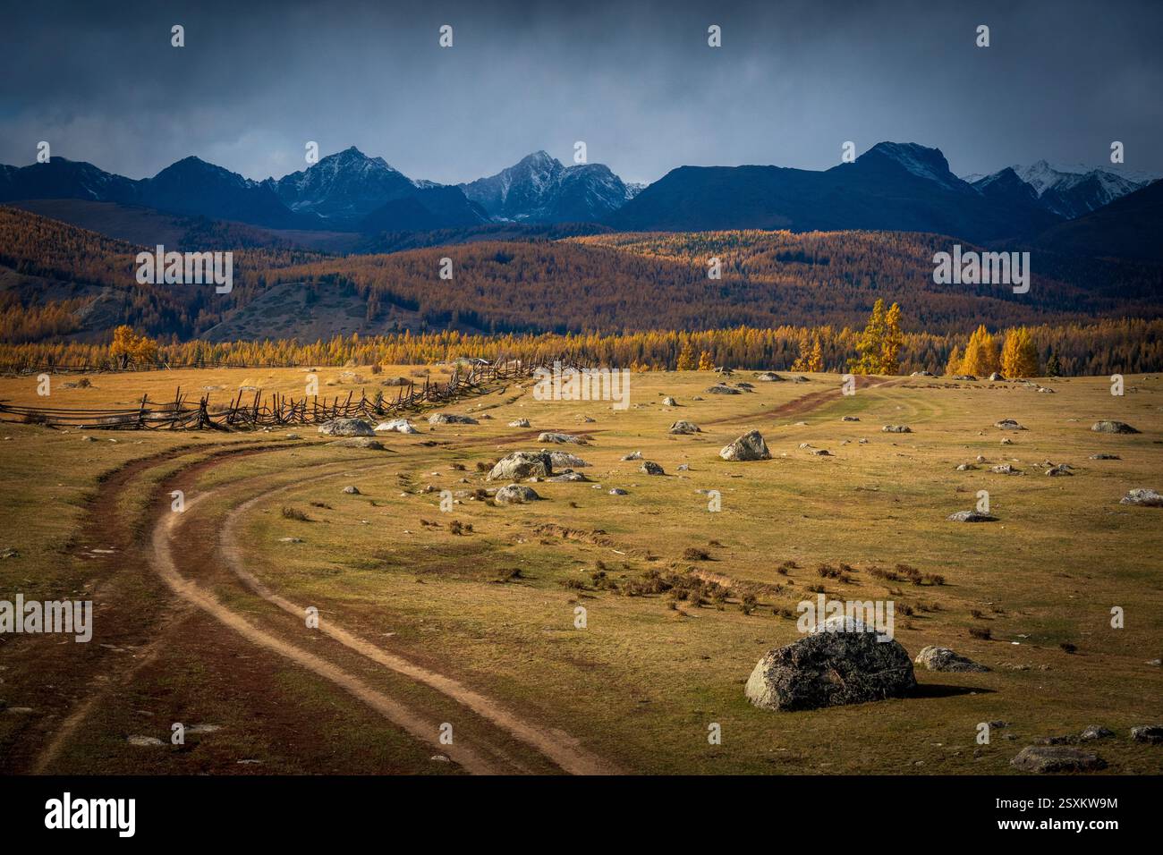 Vasto paesaggio con sentieri sterrati, rocce sparse, colline boscose e montagne lontane sotto il cielo nuvoloso. Riflesso del paesaggio autunnale e dei dintorni tranquilli. Foto Stock