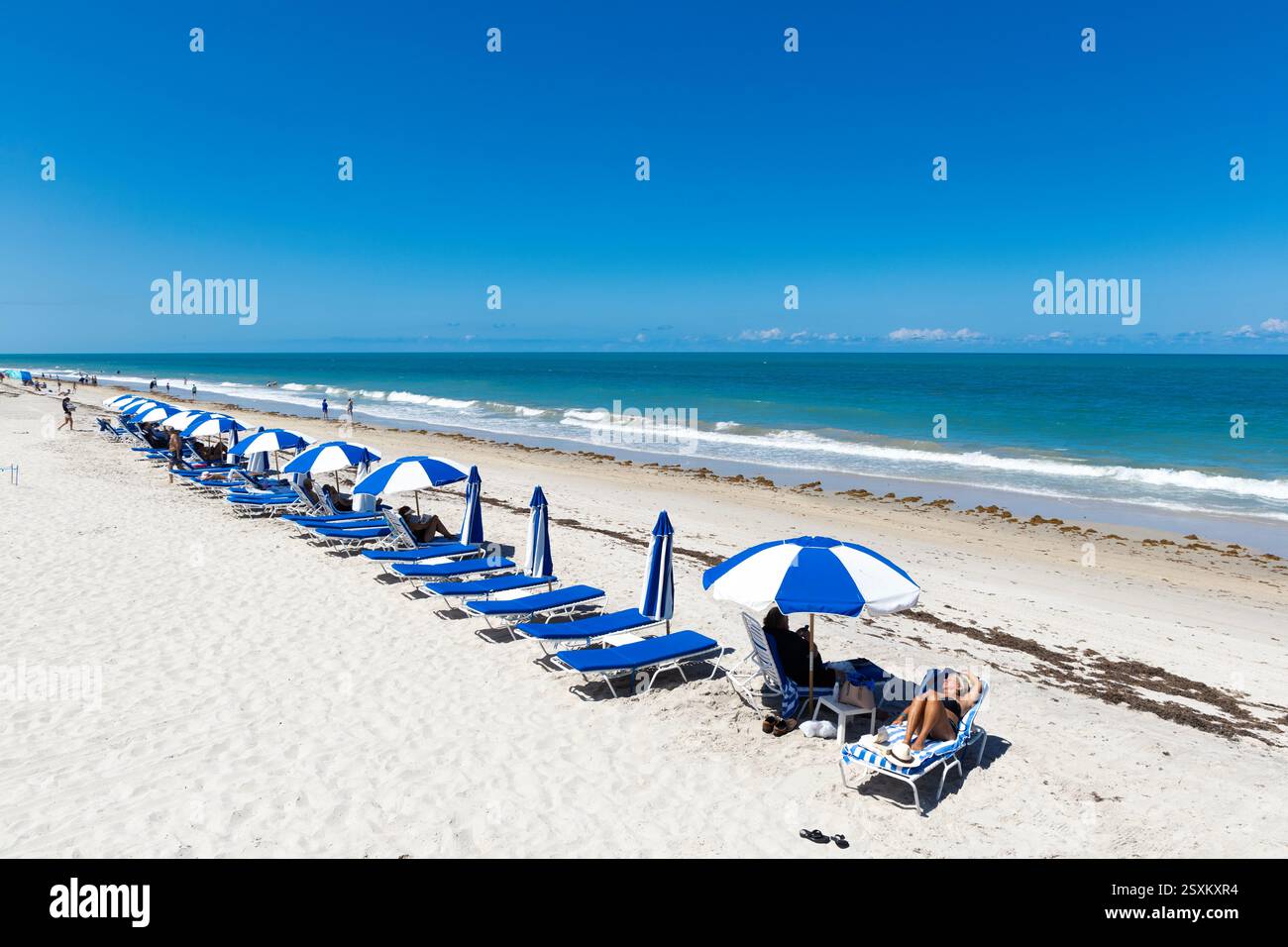 Ombrellone blu e bianco e lettini da sole a vero Beach, Florida, Stati Uniti Foto Stock