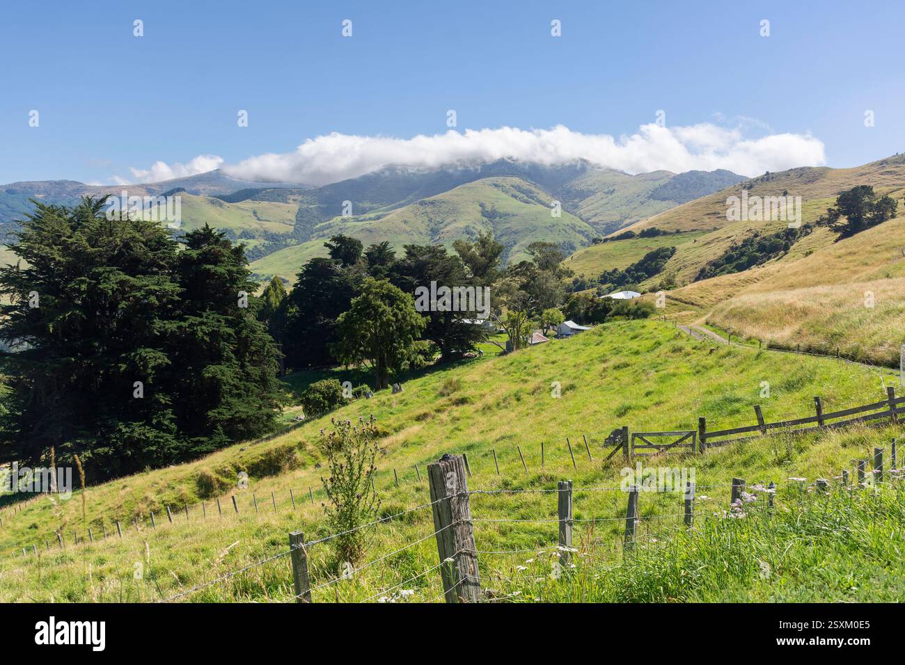 Paesaggio dalla strada collinare ad Akaroa, State Highway 75, Puaha, Banks Peninsula, Canterbury Region, isola del Sud, nuova Zelanda Foto Stock